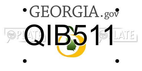 QIB511 Georgia License Plate