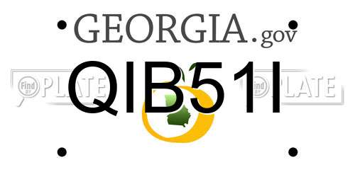 QIB51I Georgia License Plate
