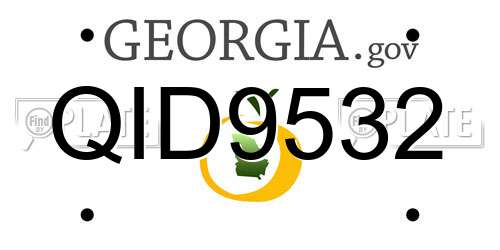 QID9532 Georgia License Plate