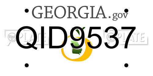 QID9537 Georgia License Plate