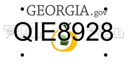 QIE8928 Georgia License Plate
