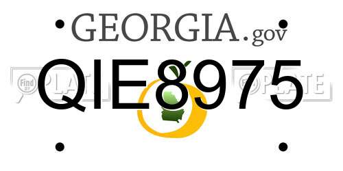 QIE8975 Georgia License Plate
