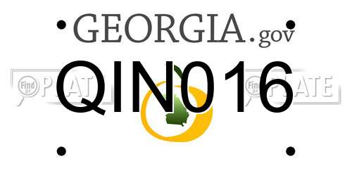 QIN016 Georgia License Plate