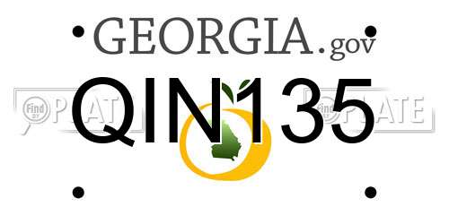 QIN135 Georgia License Plate