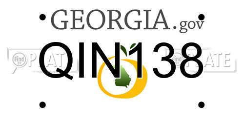QIN138 Georgia License Plate