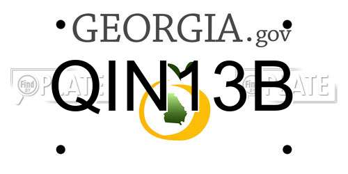 QIN13B Georgia License Plate