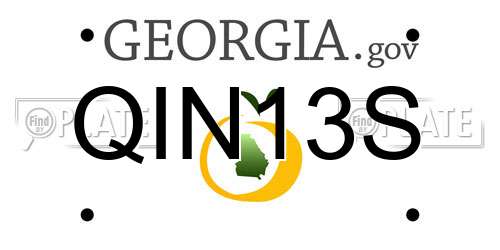 QIN13S Georgia License Plate