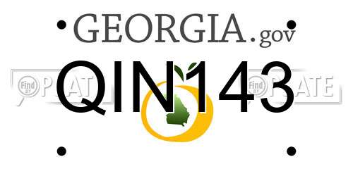 QIN143 Georgia License Plate