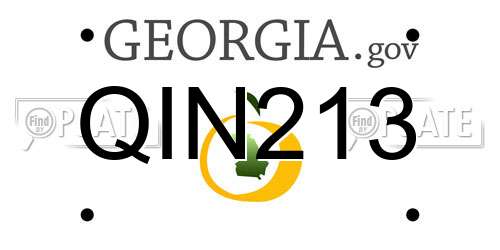 QIN213 Georgia License Plate