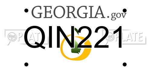 QIN221 Georgia License Plate