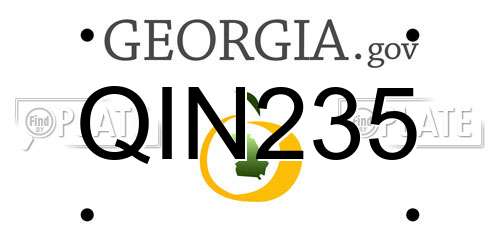 QIN235 Georgia License Plate