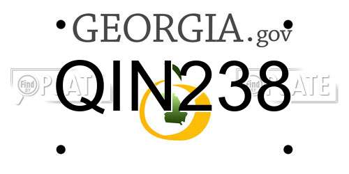 QIN238 Georgia License Plate
