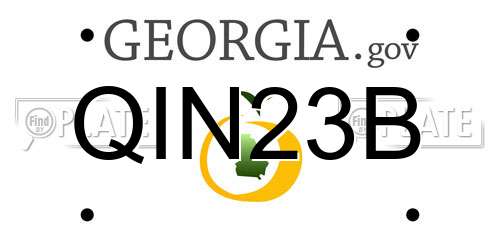 QIN23B Georgia License Plate