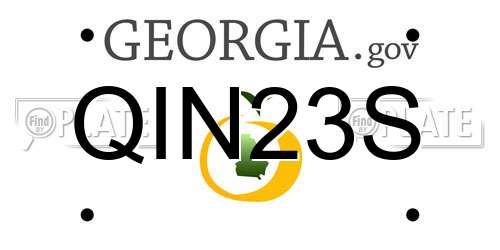 QIN23S Georgia License Plate