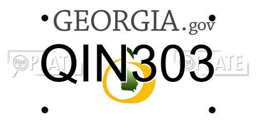 QIN303 Georgia License Plate