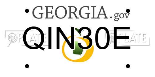 QIN30E Georgia License Plate