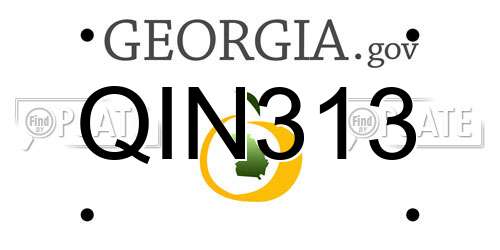 QIN313 Georgia License Plate