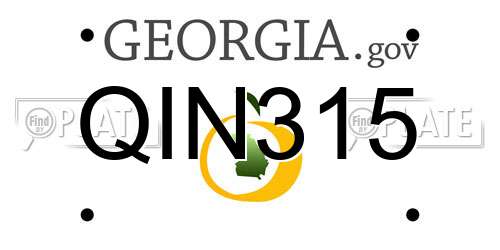 QIN315 Georgia License Plate