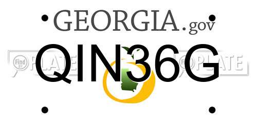 QIN36G Georgia License Plate
