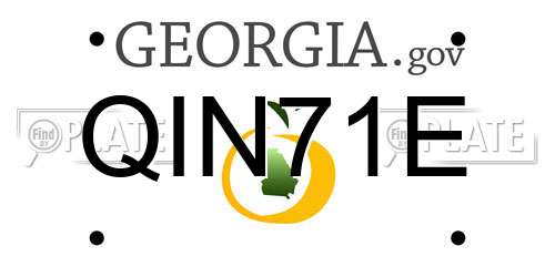 QIN71E Georgia License Plate