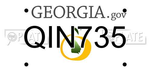 QIN735 Georgia License Plate