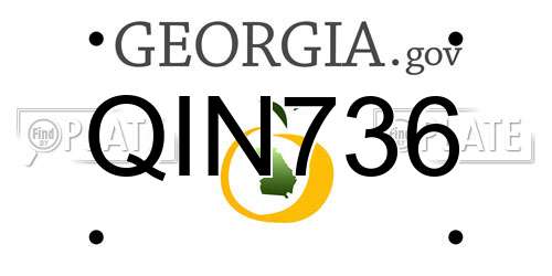QIN736 Georgia License Plate