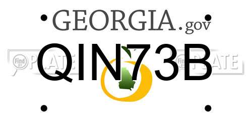 QIN73B Georgia License Plate