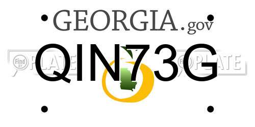 QIN73G Georgia License Plate