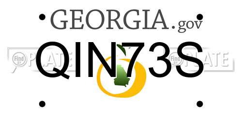 QIN73S Georgia License Plate