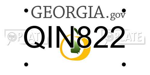 QIN822 Georgia License Plate