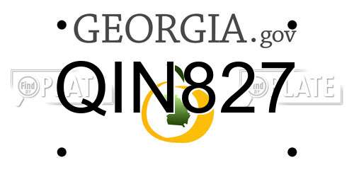 QIN827 Georgia License Plate