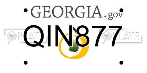 QIN877 Georgia License Plate