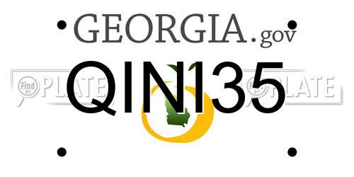 QINI35 Georgia License Plate