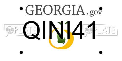 QINI41 Georgia License Plate