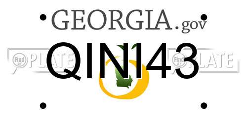 QINI43 Georgia License Plate