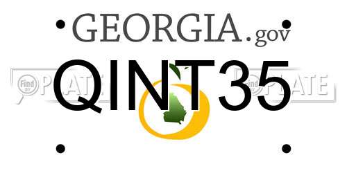 QINT35 Georgia License Plate