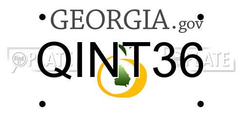 QINT36 Georgia License Plate
