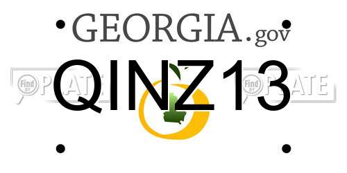 QINZ13 Georgia License Plate