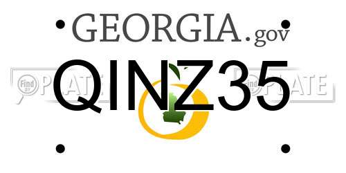 QINZ35 Georgia License Plate