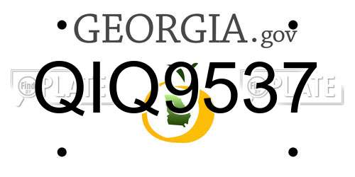 QIQ9537 Georgia License Plate