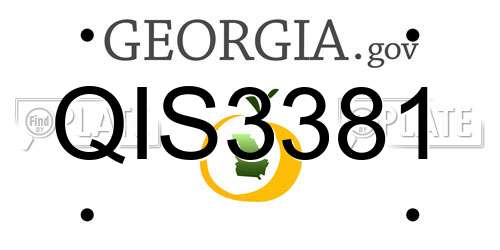 QIS3381 Georgia License Plate