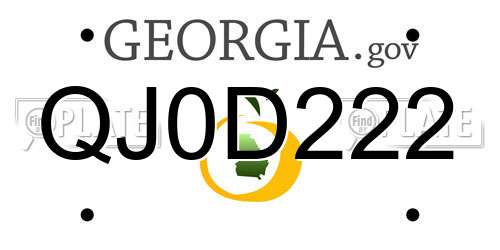 QJ0D222 Georgia License Plate