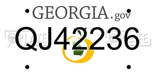QJ42236 Georgia License Plate