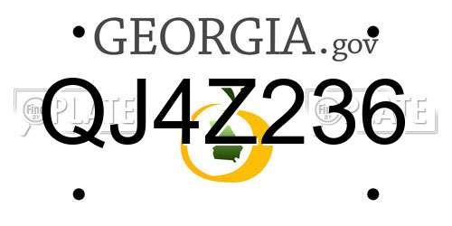 QJ4Z236 Georgia License Plate