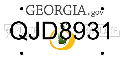 QJD8931 Georgia License Plate