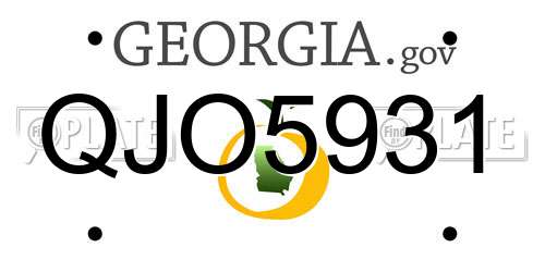 QJO5931 Georgia License Plate