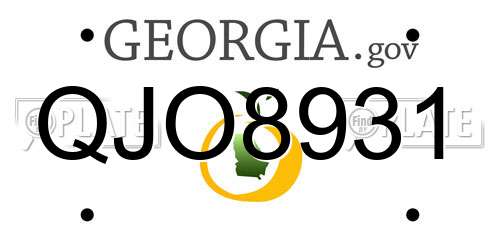 QJO8931 Georgia License Plate