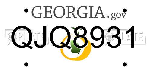 QJQ8931 Georgia License Plate