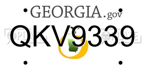 QKV9339 Georgia License Plate