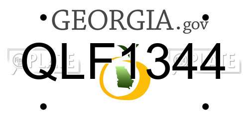 QLF1344 Georgia License Plate